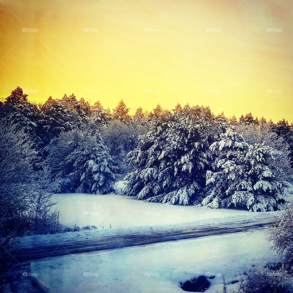 Snow dusted sunrise in Southern Maine. November 2018