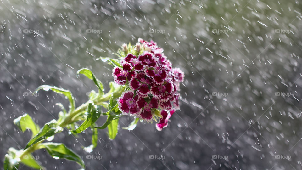 The end of snowy seasons