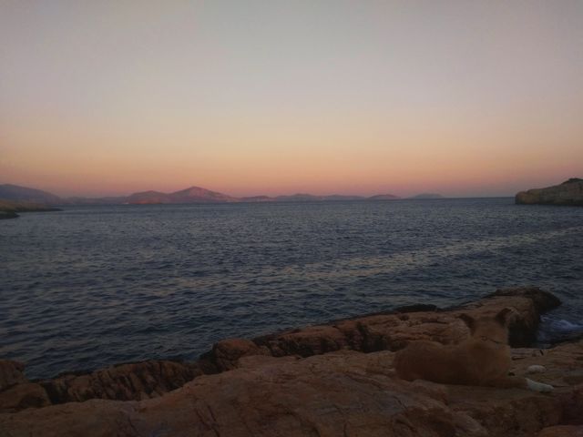 sunset with dog