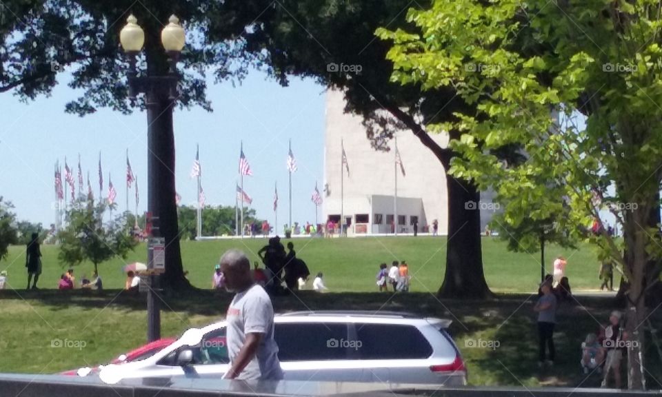 USA Flags around the Washington Monument