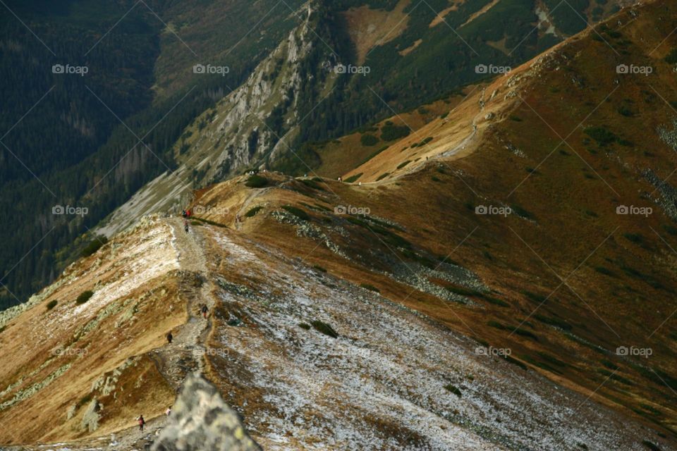 Nice trail in the mountains