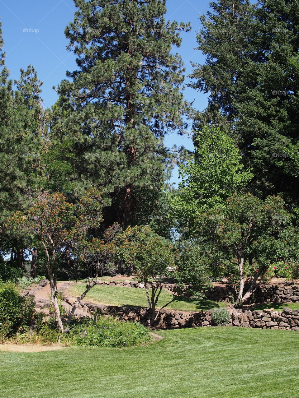 Multiple tiers with rock walls of different growth from grass to flowers and trees in Pioneer Park in Bend in Central Oregon on a beautiful sunny summer day.