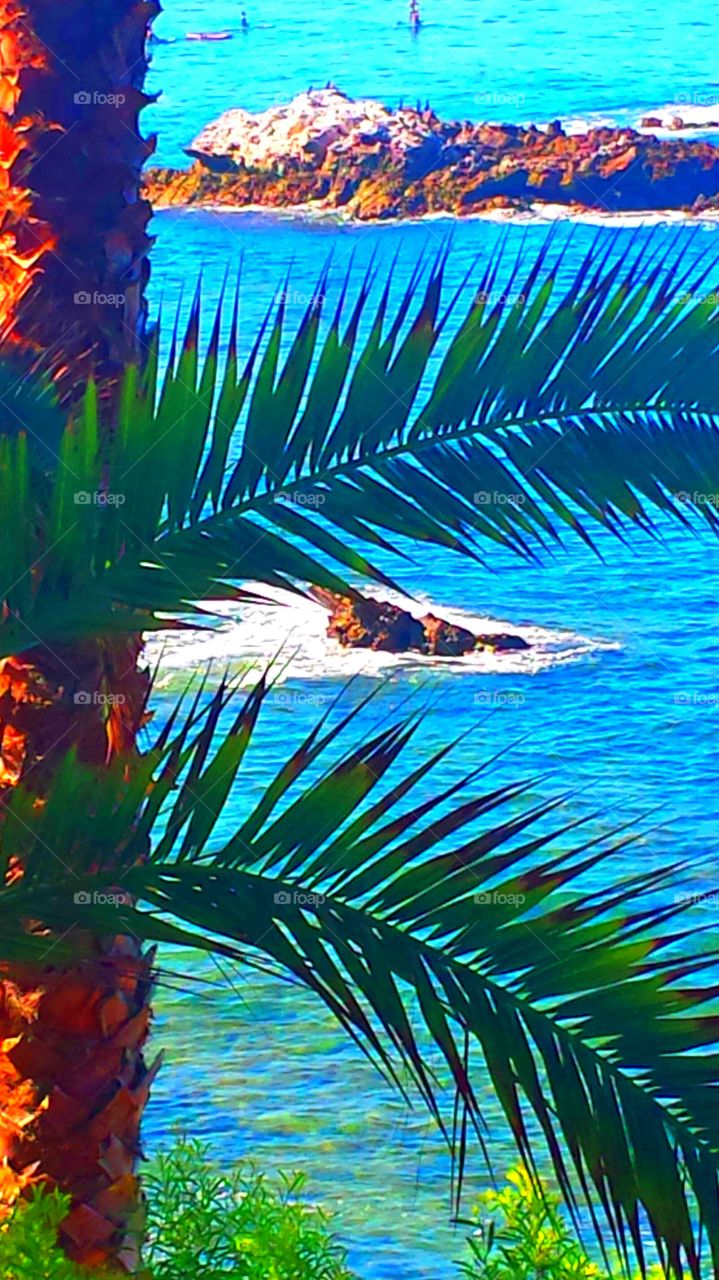 Bird Rock. Bird Rock in Laguna beach @ Hiesler Park