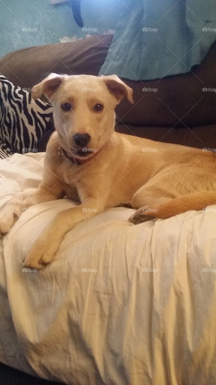 Nothing like stealing seats when people get up