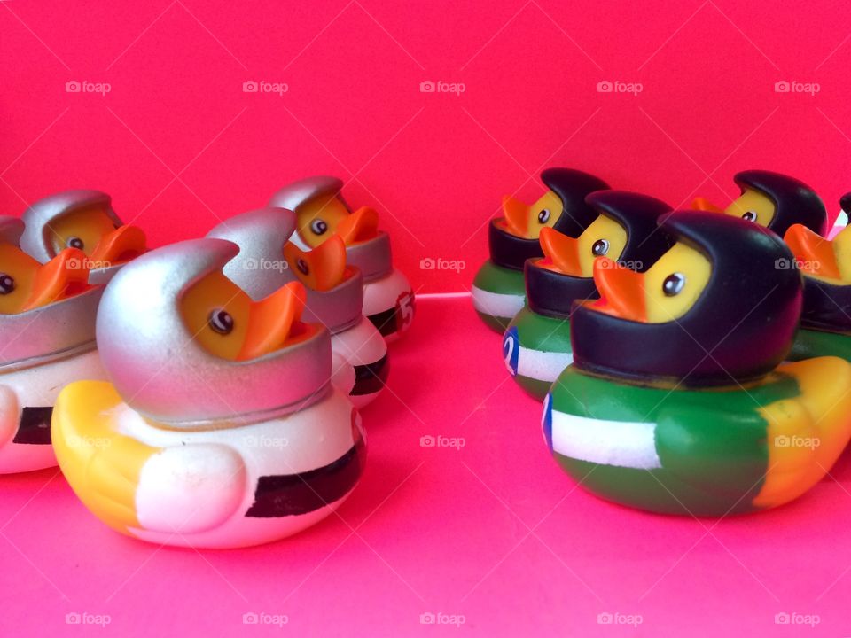 Rubber duckies face off 