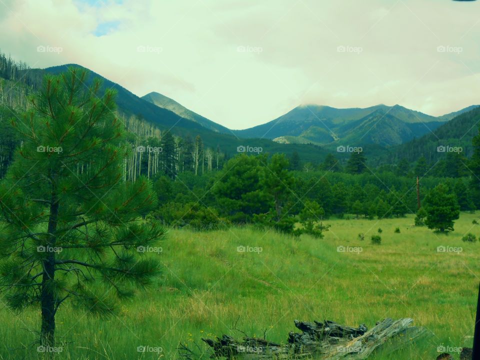Mountain Valley Wilderness