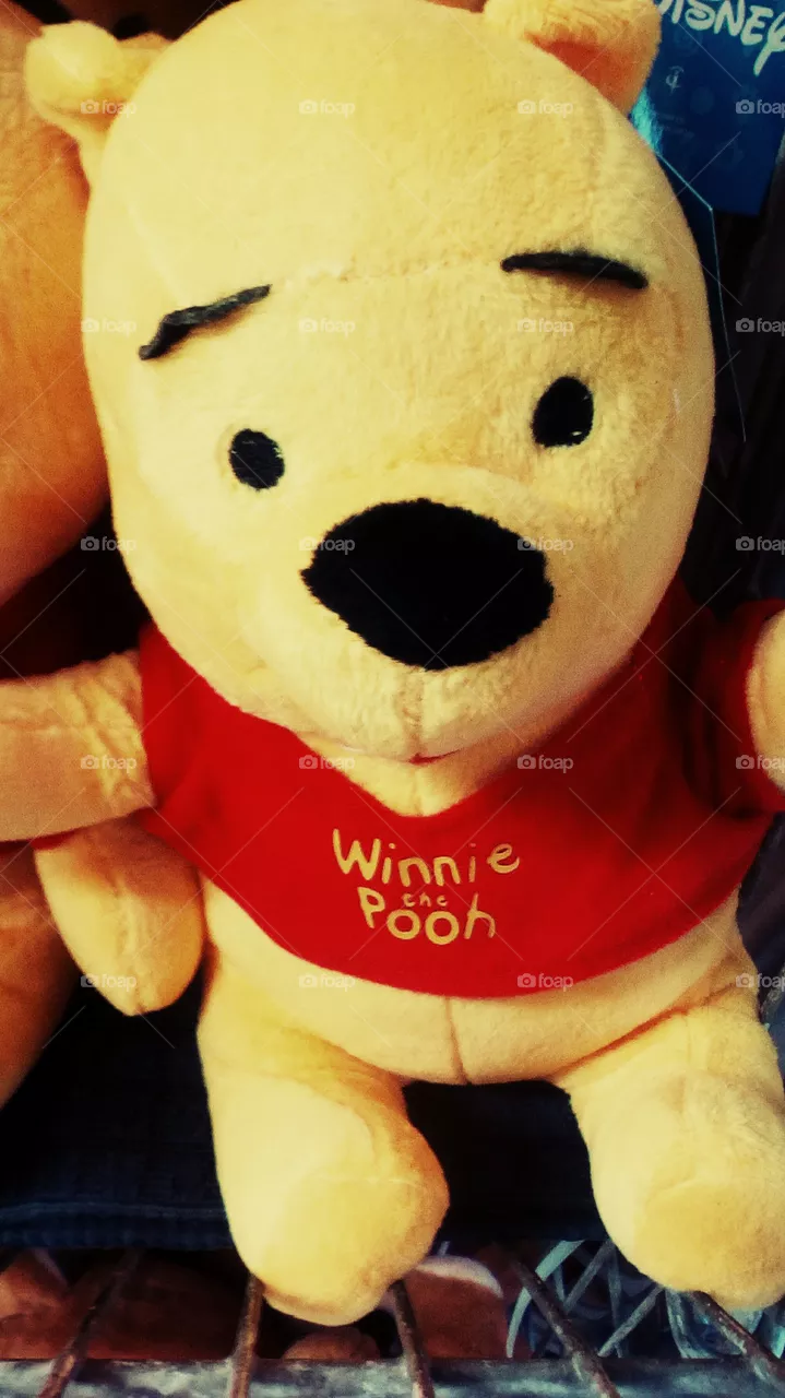 Toy