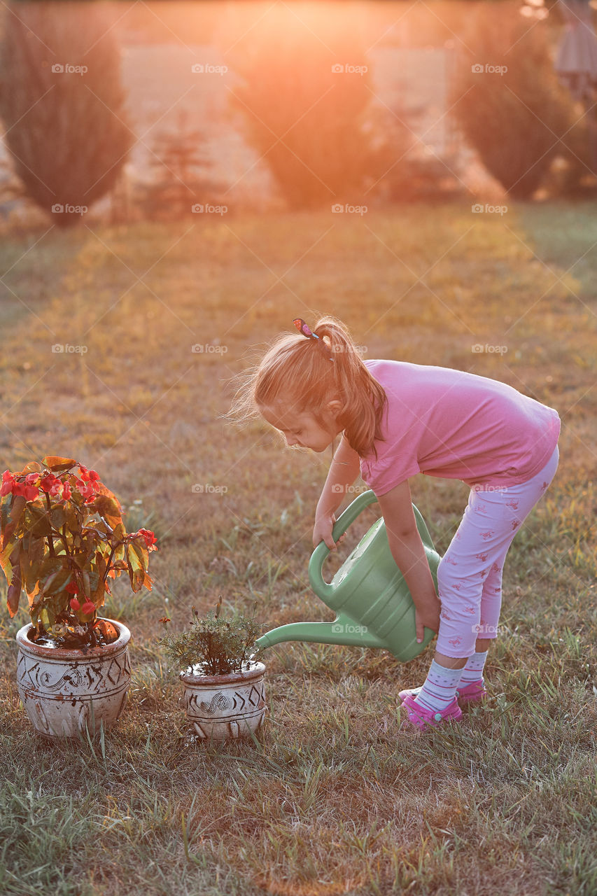 Watering the flowers growing in flower pot, pouring water from green watering can, working in backyard at sunset. Candid people, real moments, authentic situations