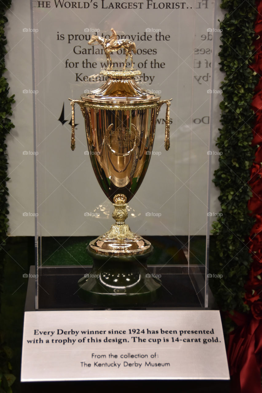 Pure Gold for the winner