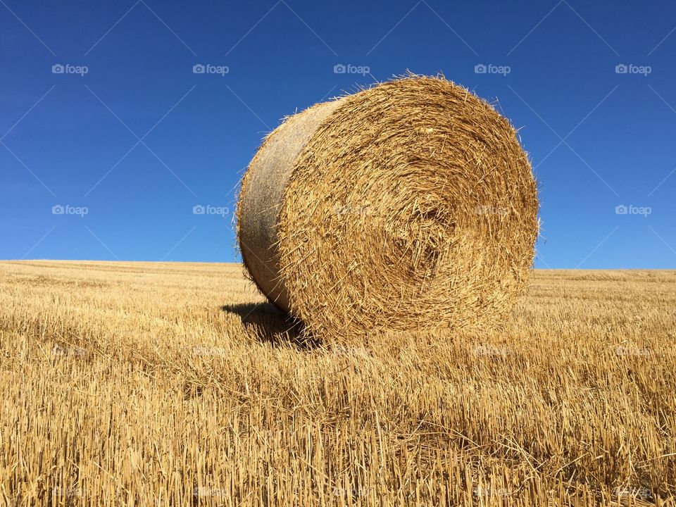 Bale of hay in field in front of blue sky 