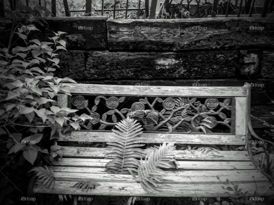 Black and White Outside. I was shooting pictures in my back yard