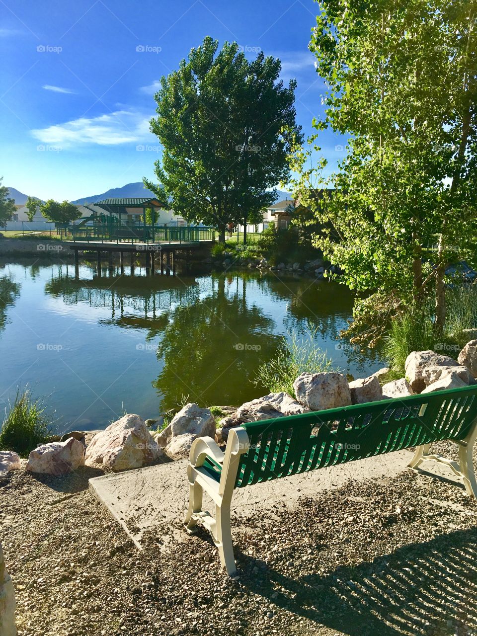 Neighborhood pond. Reflection. View. Tree. Bench. Beautiful view. Mountains.