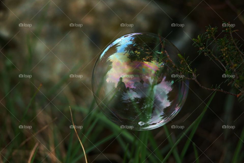 Close-up of bubble on grass