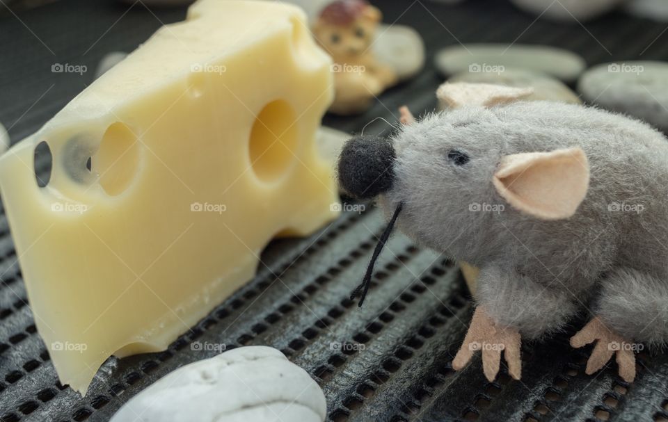 Mouse looking at cheese 