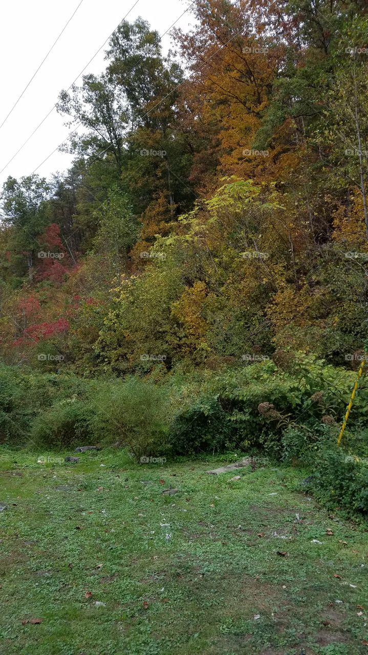 turning autumn in my community