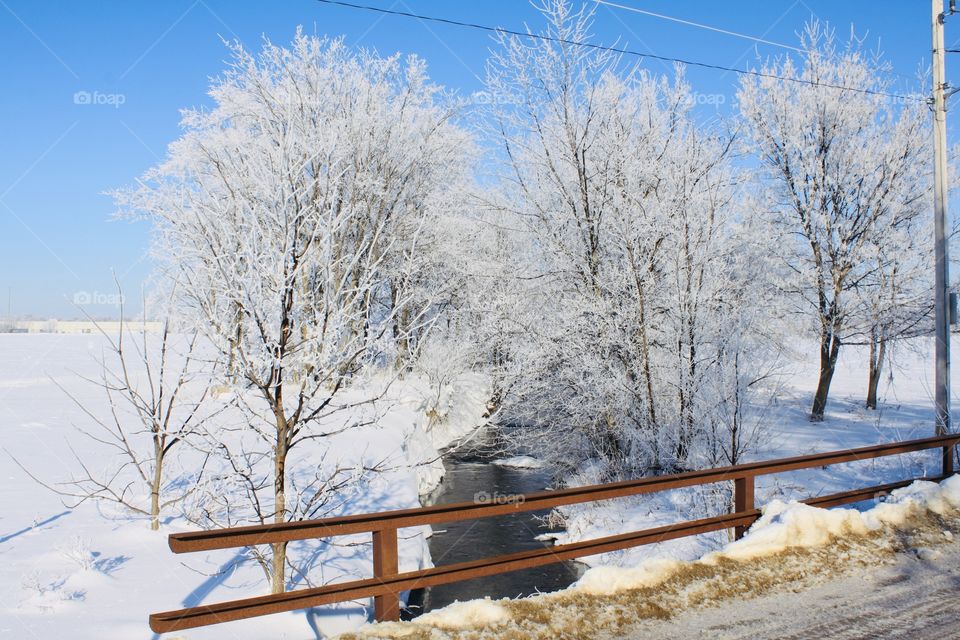 Gorgeous winter landscape with snow covered trees and brown metal fence over creek. 