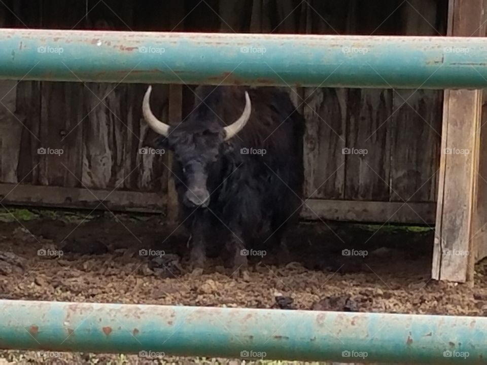 Driving the Back Roads and enjoying everything around us