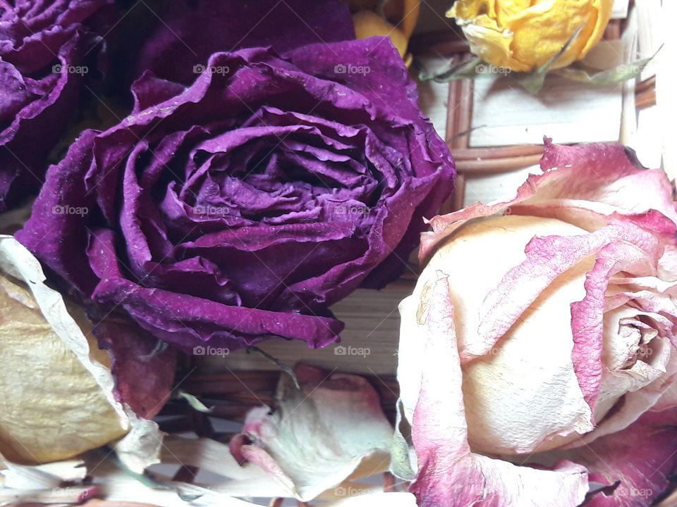 perfect imperfections