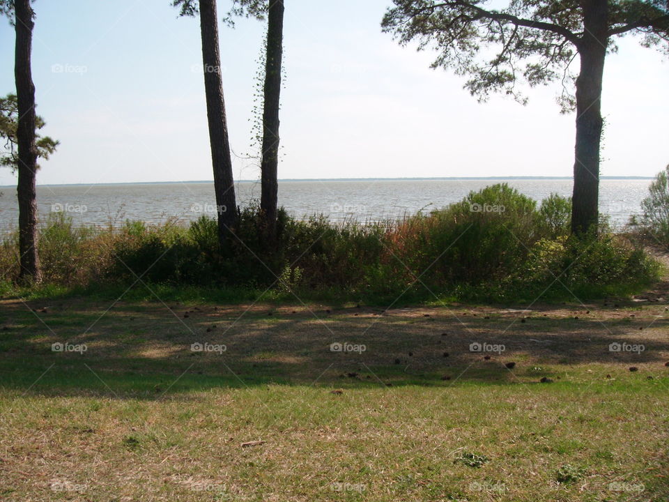 Landscape, No Person, Tree, Water, Nature