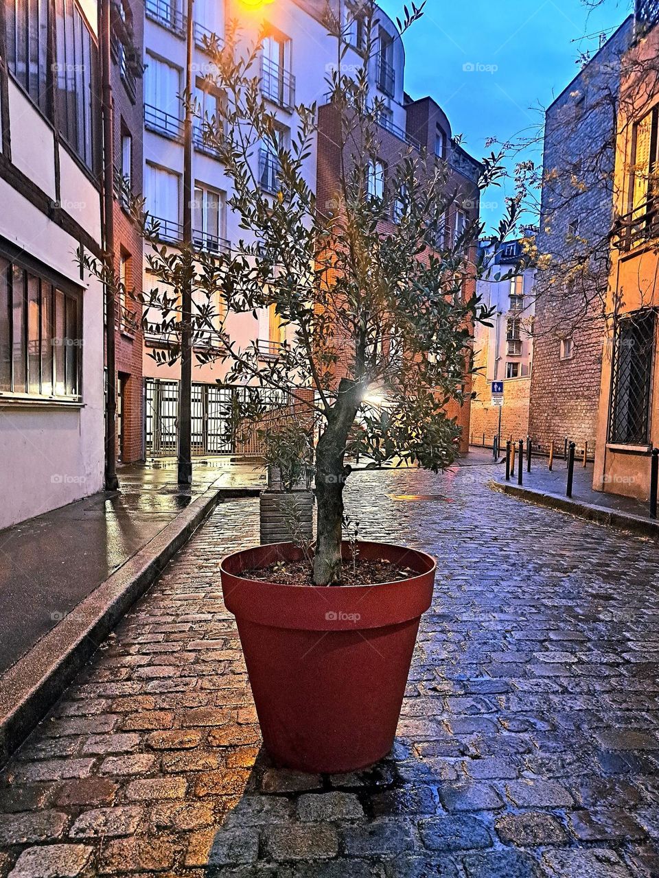 Night colors explosion