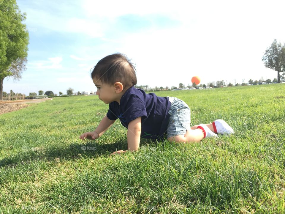 Baby crawling