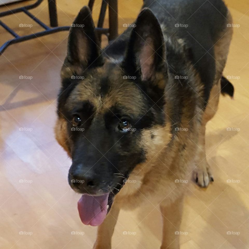 everything smiles, including her eyes