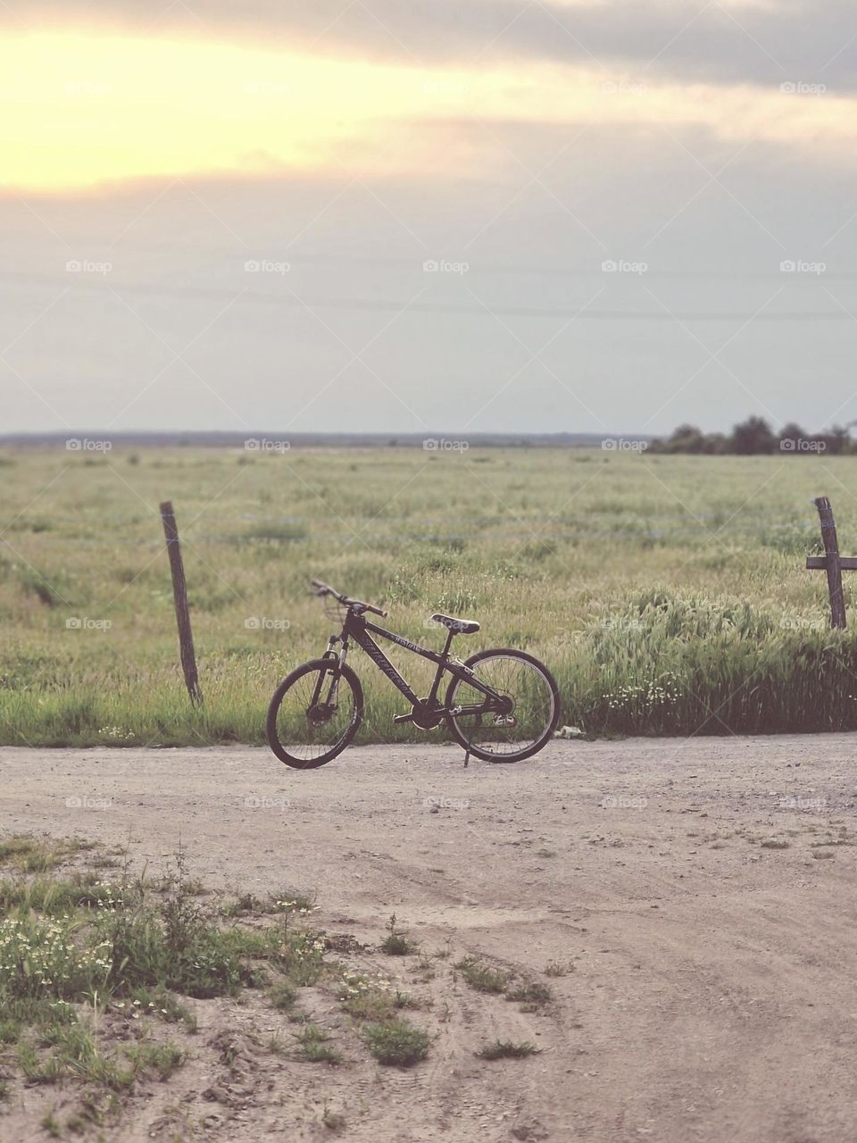 lonely bicycle