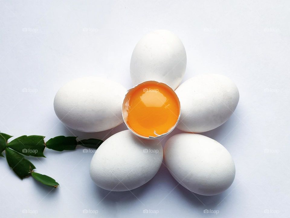 White colour. On a white background lie five white eggs in the shape of a flower.  The core of a flower made from eggs is a yellow egg yolk in a white shell.  Green branch of a cactus in the form of a stem