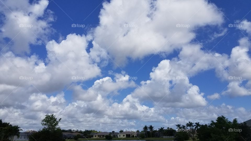 Florida skies
