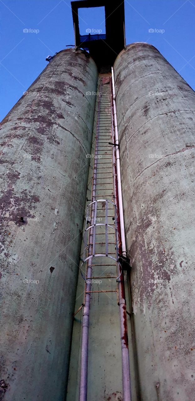 Silo with ladder from below