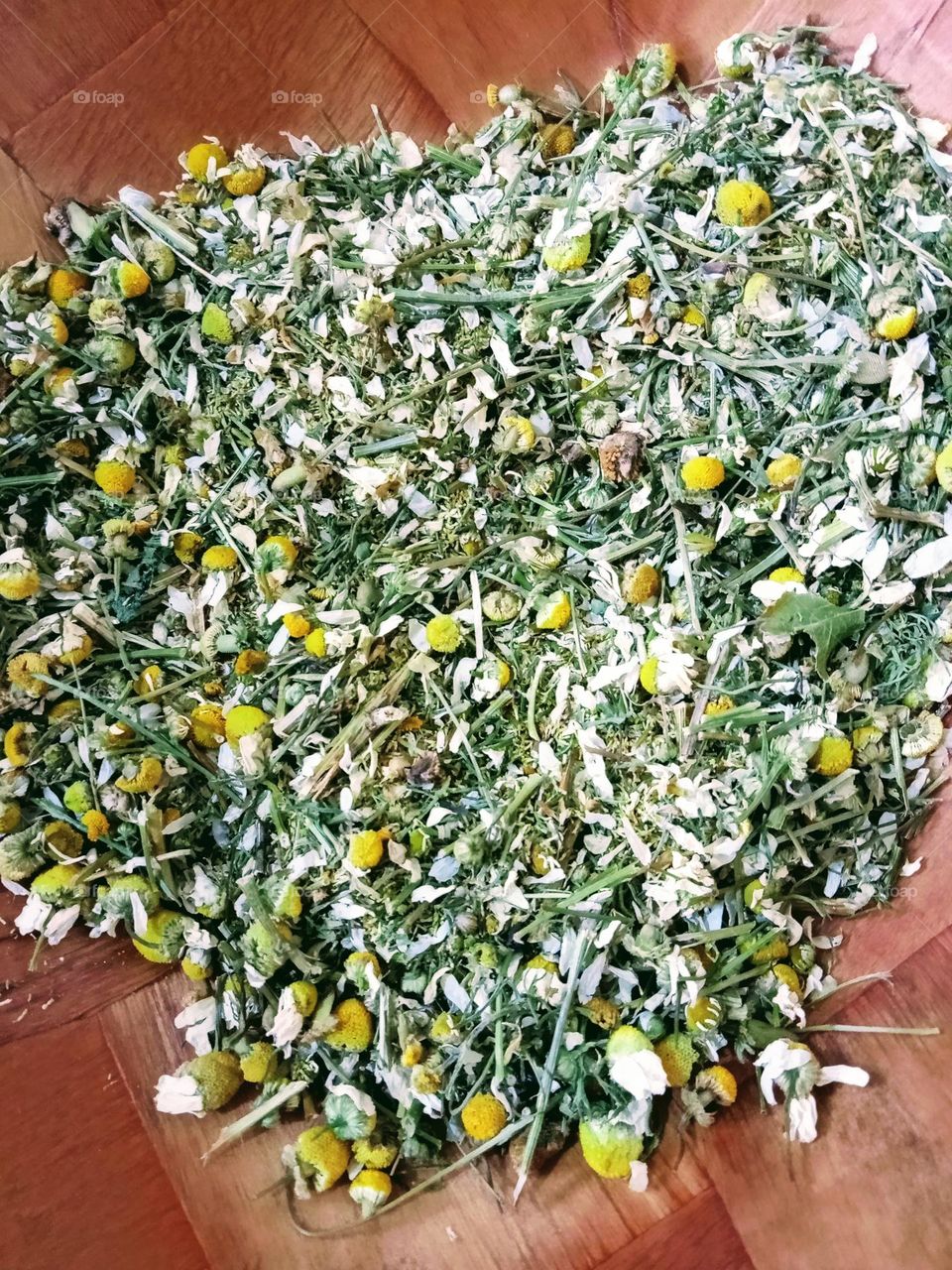 Chamomile