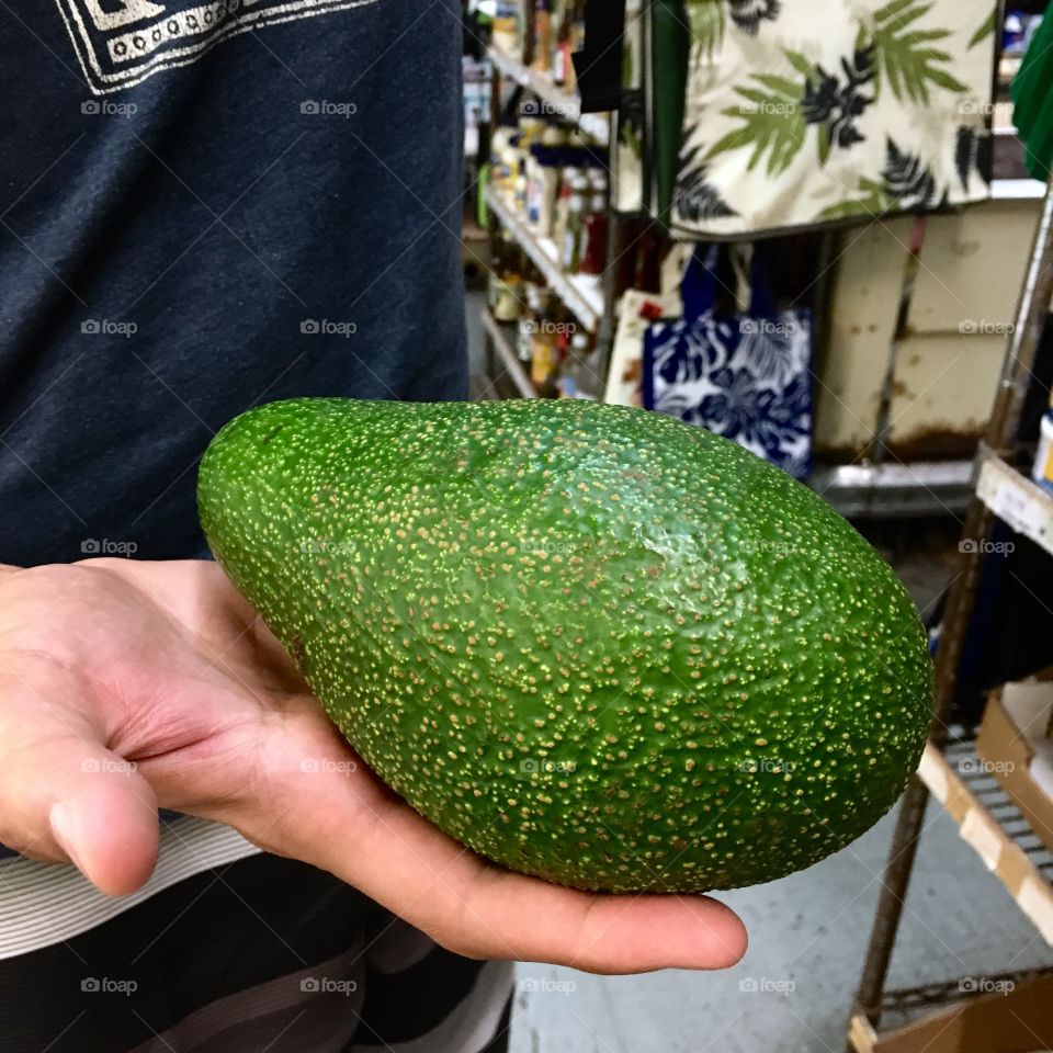 A rare giant avocado exhibiting bright green hues on a market stall in Kihei, Maui. 