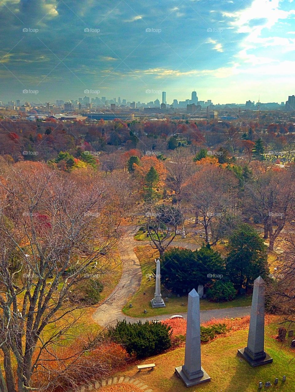 Boston Fall foliage 