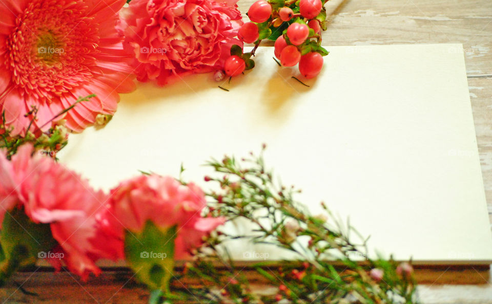 Spring, flowers, floral border, flower border, angled view, in white background, wooden background, pink flowers and leaves, carnations