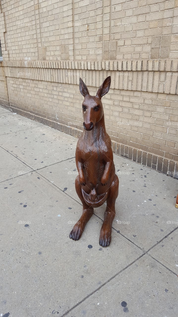 Kangaroo statue