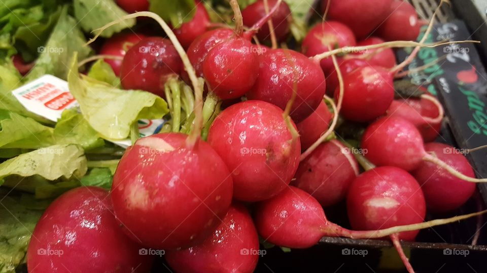 radishes