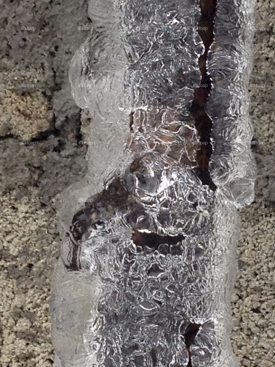 Winter decoration..frozen