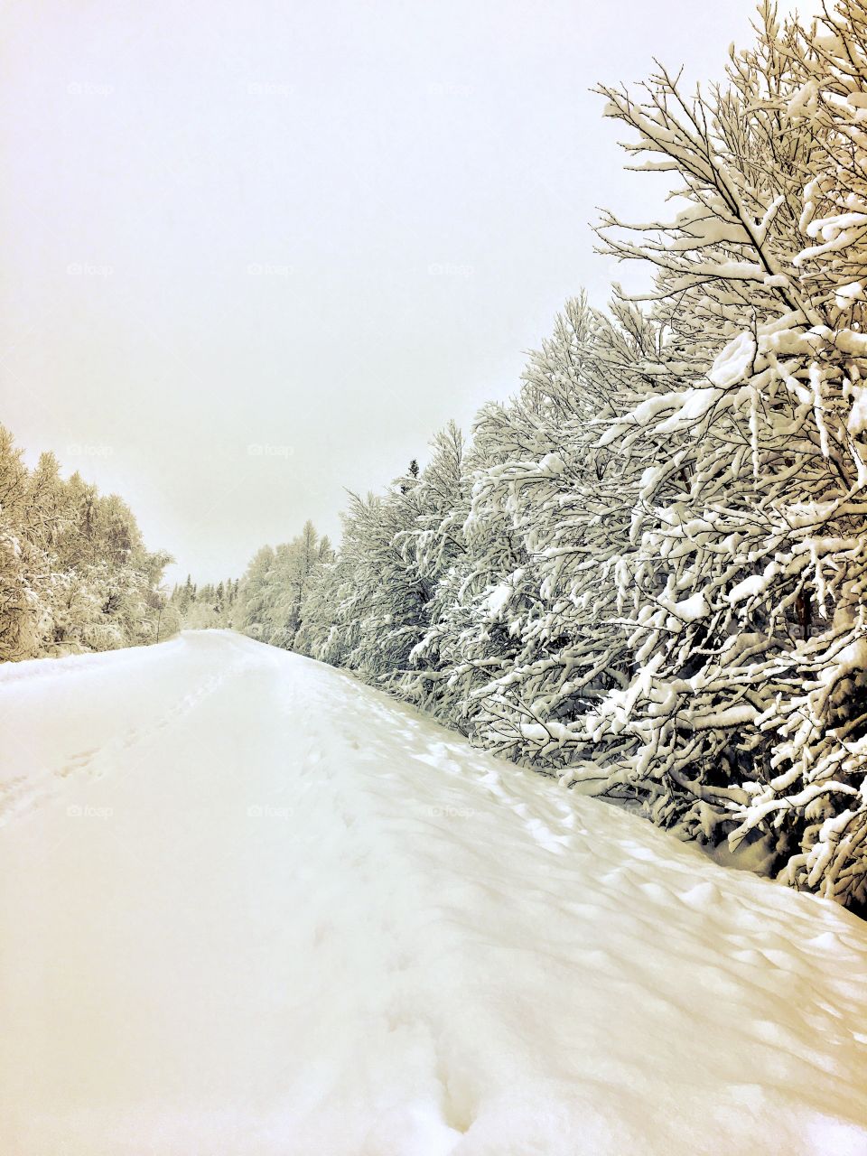 Snowy road 