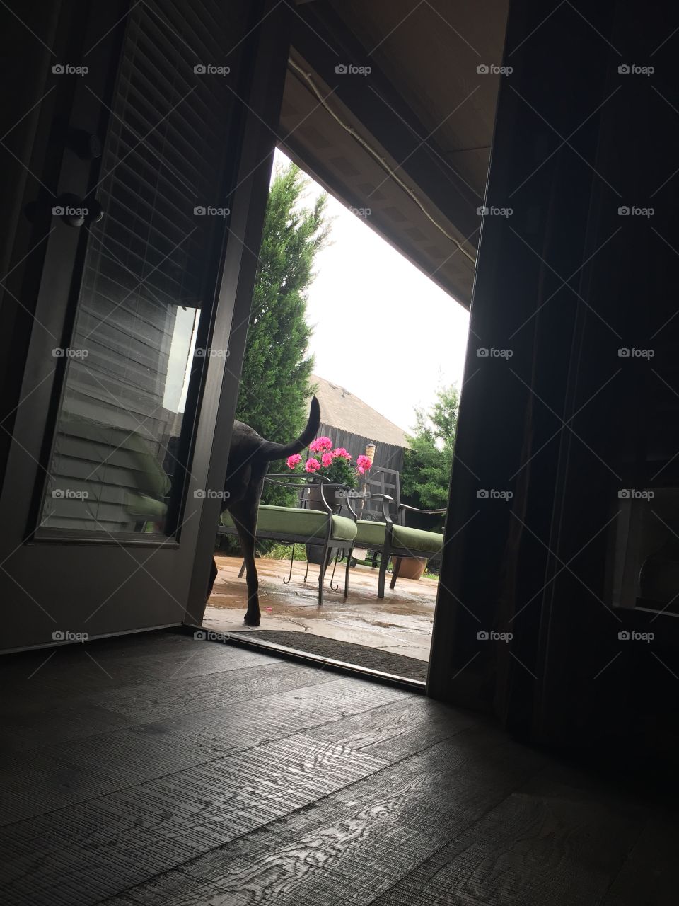 Window, Architecture, Light, No Person, Indoors