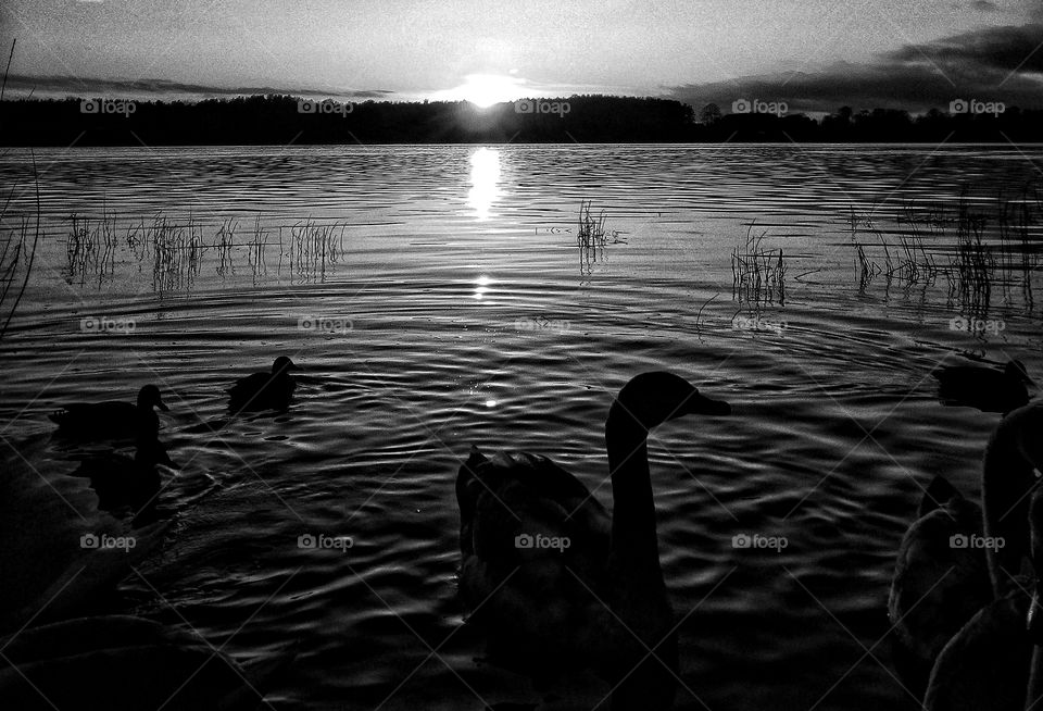 "The most colorful thing in the world is black and white, it contains all colors and at the same time excludes all."
~ Vikrmn, 10 Alone