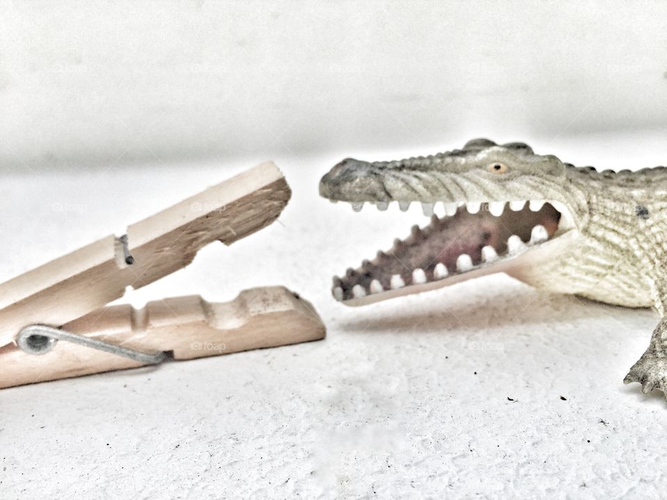 Gator vs closepin 