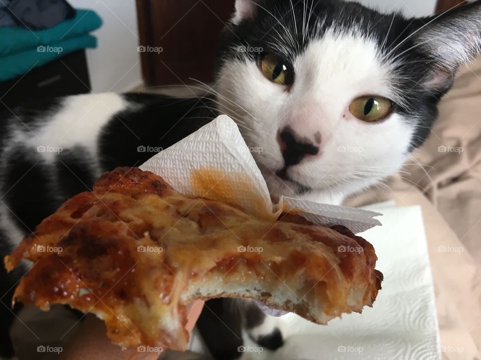Pizza lover