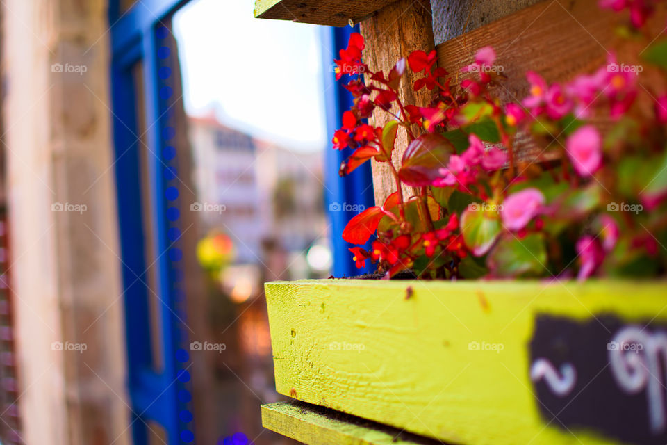 Exploring Camino Frances