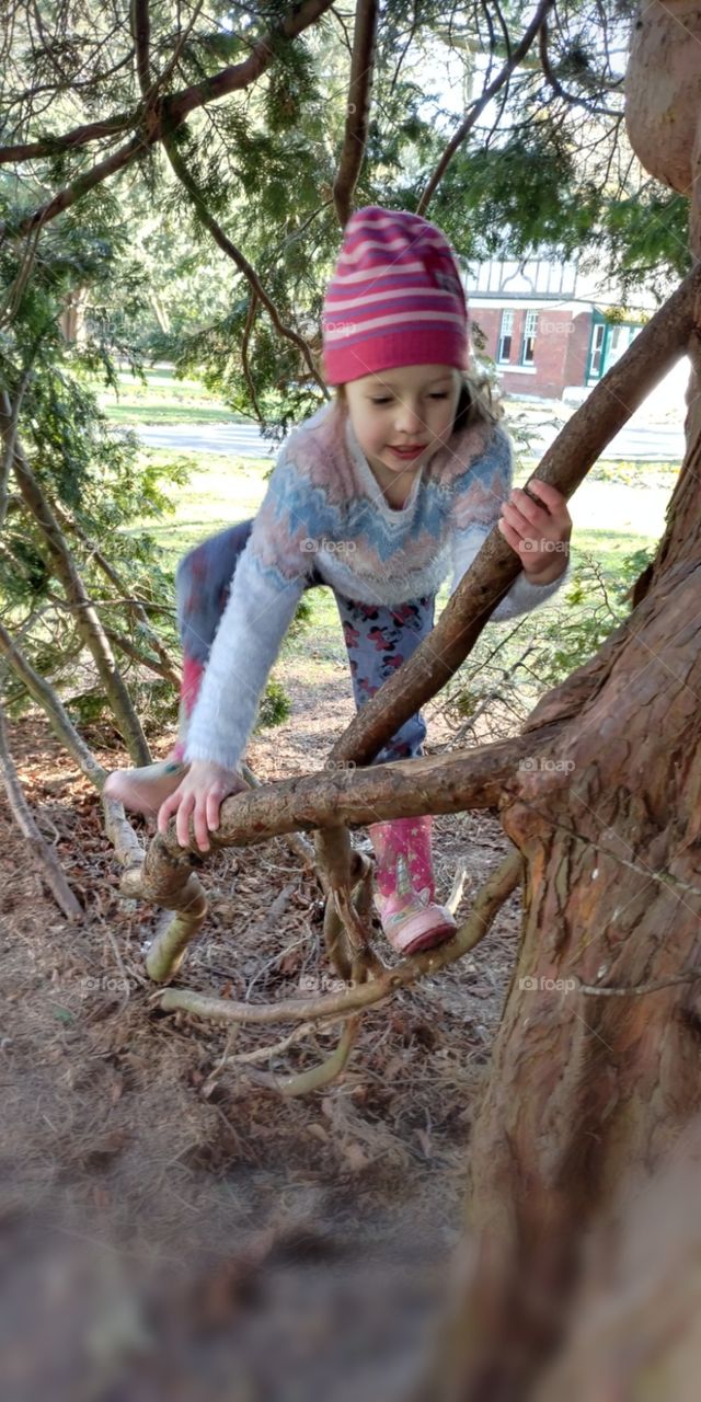 little girl climbing tree in park, childhood adventure