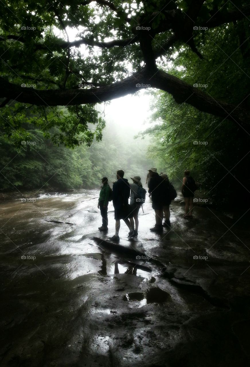 Hikers pause for a break when they come to a stream during their forest adventure on a rainy morning.