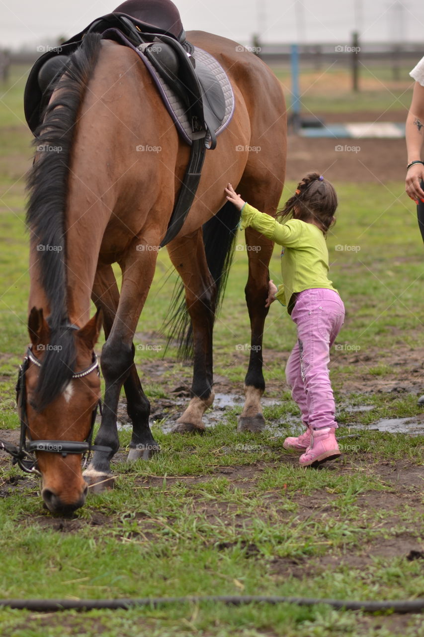 Horses and children