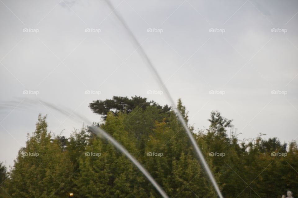 fountain in the park
