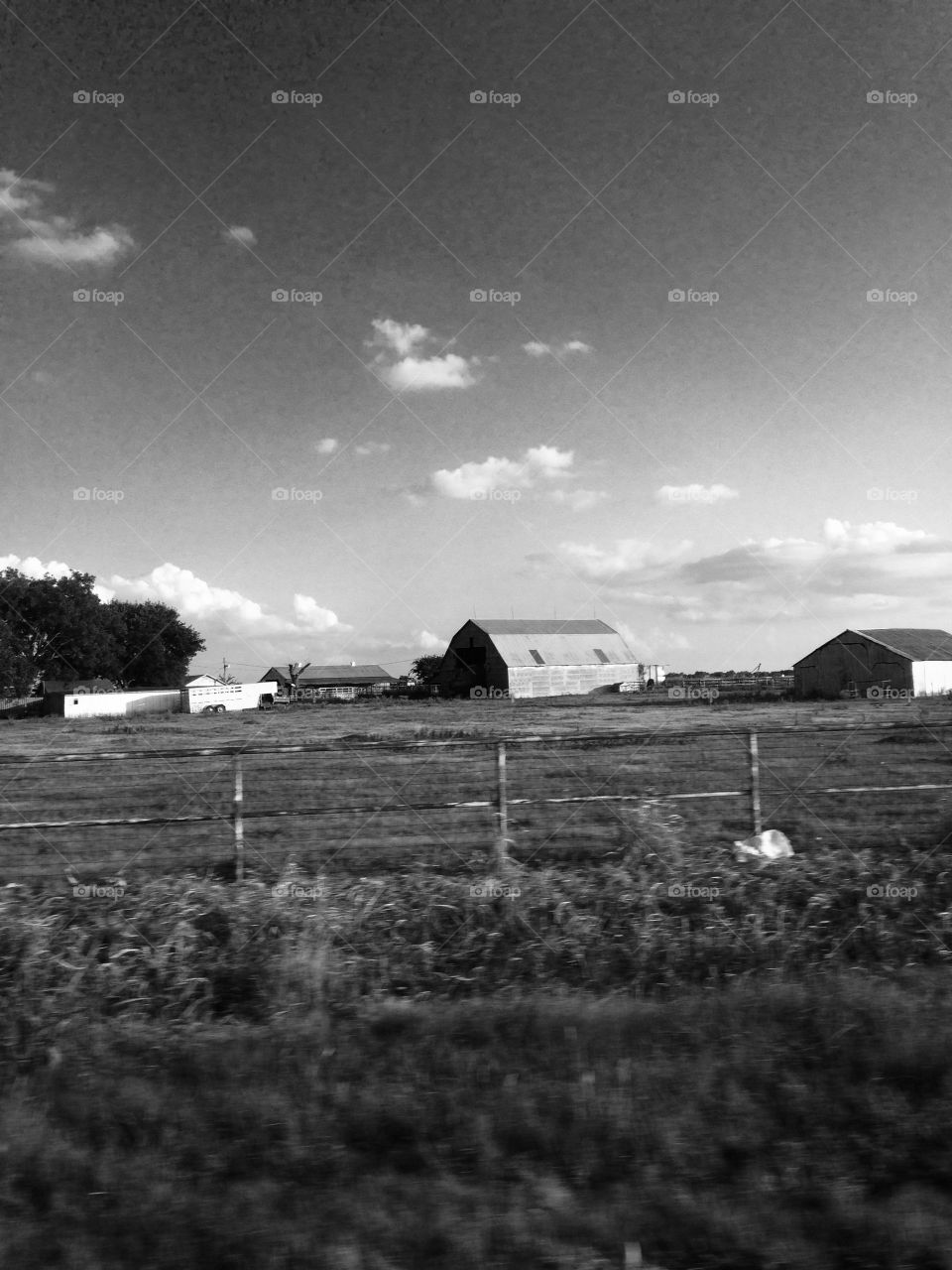 Farm, black and white, land