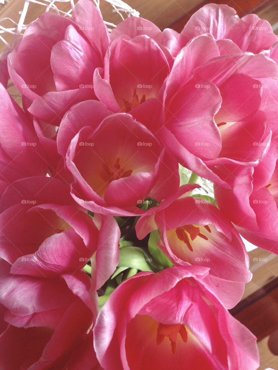 Bunch of pink tulips 