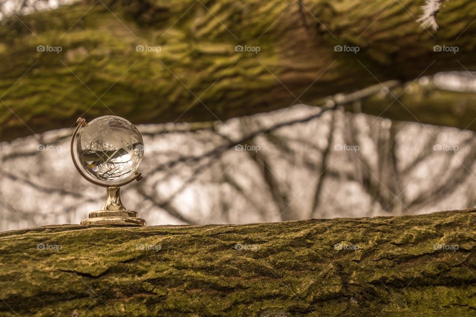 Reflection in a little glass globe sitting on a tree